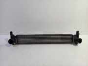 Ladeluftkühler Radiator Volkswagen Polo V (6R) Schrägheck 1.2 TDI 12V BlueMotion (CFWA(Euro 5)) 2012-07 CFWA(Euro 5)