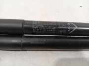 Gasdruckfedern Set Hinten 00520315180 Fiat 500X (334) SUV 1.4 Multi Air 16V (55263624) 2016