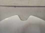 Motorhaube Renault Zoé (AG) Schrägheck 5-drs 60kW (5AM B4) 2015