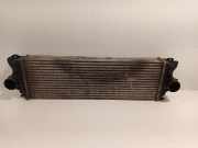 Ladeluftkühler Radiator 2E0145804 Volkswagen Crafter Van 2.5 TDI 30/32/35/46/50 (BJL) 2010 BJL