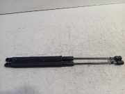 Gasdruckfedern Set Hinten A2139800164 Mercedes-Benz C (W205) Limousine C-180 1.5 EQ Boost (M264.915) 2020