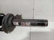 Federbein Rechts Vorne 5QF412021GN Volkswagen Tiguan (AD1) SUV 2.0 TSI 16V 4Motion (CZPA) 2017 CZPA