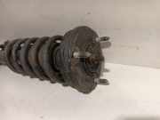 Federbein Links Hinten Porsche 911 (996) Coupé 3.4 Carrera 24V (M96.04) 1998