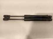Gasdruckfeder Set Vorne 725581203 BMW 3 serie (F30) Limousine 316d 2.0 16V (N47-D20C) 2012
