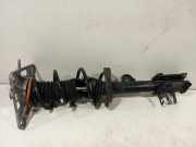 Federbein Links Hinten 521045150 Jeep Renegade (BU) SUV 1.3 GSE T4 16V (46351268) 2019-01