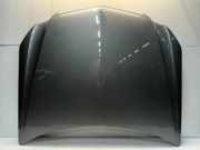 Motorhaube Mercedes-Benz E (W212) Limousine E-250 CDI 16V BlueEfficiency,BlueTec (OM651.924(Euro 5; Euro 6)) 2009-03