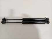 Gasdruckfeder Set Vorne 654704597R Renault Grand Scénic IV (RFAR) Großraumlimousine 1.3 TCE 140 16V (H5H-470(H5H-B4)) 2019