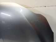 Motorhaube DS DS 3/Crossback (UC/UJ/UR) Schrägheck 1.2 12V PureTech 130 (EB2ADTS(HNS)) 2019 EB2ADTS(HNS)