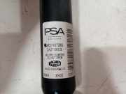 Sto?d?mpfer Rechts Hinten 9837467280 Opel Corsa F (UB/UH/UP) Schr?gheck 5-drs 1.2 Turbo 12V 100 (F12XHL(EB2ADTD)) 2021