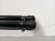 Gasdruckfeder Set Vorne 31688415 Polestar Polestar 2 Liftback 78kWh Long Range Single Motor (EAD3.2) 2022-03