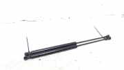 Gasdruckfedern Set Hinten 904511881 Renault Twingo III (AH) Schrägheck 5-drs 1.0 SCe 70 12V (H4D-A4) 2016