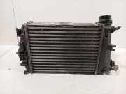 Ladeluftkühler Radiator 144963358R Renault Megane IV (RFBB) Schrägheck 5-drs 1.6 GT Energy TCe 205 EDC (M5M-450(M5M-B4)) 2016