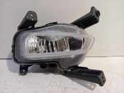 Nebelscheinwerfer Rechts 92202J7000 Kia Ceed Sportswagon (CDF) Kombi 5-drs 1.0i T-GDi 12V 120 Eco-Dynamics+ (G3LF) 2021