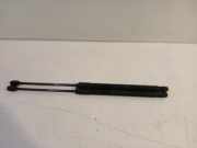 Gasdruckfedern Set Hinten 8K9827552C Audi A4 Avant (B8) Kombi 3.0 TDI 245 V6 24V Quattro (CDUC) 2014