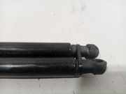 Gasdruckfeder Set Vorne 654704597R Renault Scénic IV (RFAJ) Großraumlimousine 1.5 Energy dCi 110 (K9K-647) 2018-04