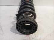 Spiralfeder Rechts Hinten Mercedes-Benz C (C205) Coupé C-180 1.6 16V (M274.910(Euro 6)) 2016