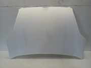 Motorhaube Fiat Doblo Cargo (263) Ch.Cab/Pick-up 1.3 MJ 16V DPF Euro 5 (263.A.1000) 2010