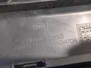 Grill 86350G5000 Kia Niro I (DE) SUV 1.6 GDI Hybrid (G4LE) 2019-03