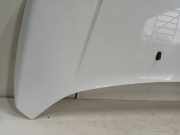 Motorhaube Ford Transit Connect (PJ2) Van 1.6 TDCi 16V 95 (TZGA(Euro 5)) 2015