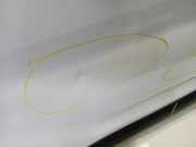 Tür Links Vorne Ford Transit Van 2.0 TDCi 16V Eco Blue 105 (BJFB) 2021