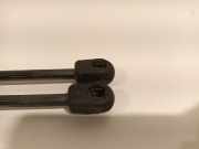 Gasdruckfedern Set Hinten 8F0827550A013 Audi A5 Cabrio (8F7) Cabrio 2.0 TFSI 16V Quattro (CDNC(Euro 5)) 2009