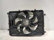 Kühlerventilator A0999061000 Mercedes-Benz C (W204) Limousine 1.8 C-180K 16V (M271.952) 2008-06
