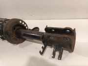 Federbein Links Hinten 00520298230 Fiat 500X (334) SUV 1.6 E-torq 16V (55263842) 2017-08