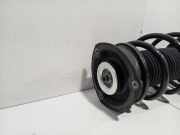 Federbein Links Vorne 5W413023N Volkswagen Golf VIII (CD1) Schrägheck 1.5 eTSI 16V (DFYA) 2021 DFYA