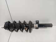 Federbein Links Vorne kk3118045db Ford Transit Van 2.0 TDCi 16V Eco Blue 105 (BJFB) 2024-04