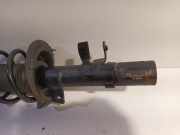 Federbein Links Vorne Ford Focus 3 Schrägheck 1.0 Ti-VCT EcoBoost 12V 125 (M1DA(Euro 5)) 2014-08