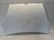 Motorhaube Fiat Doblo Cargo (263) Van 1.3 D Multijet (199.A.3000) 2011-10