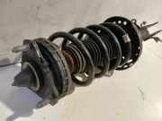 Federbein Rechts Vorne TV1F62 Honda Civic (FK1/2/3) Schrägheck 1.8i VTEC 16V (R18Z4) 2014-05