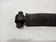 Stoßdämpfer Rechts Hinten bv6118080cae Ford Focus 3 Wagon Kombi 1.0 Ti-VCT EcoBoost 12V 125 (M1DA(Euro 5)) 2013