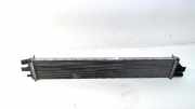 Radiator 214107695R Opel Movano Chassis-Cabine 2.3 CDTi Biturbo 16V RWD (M9T-700(M9T-A7)) 2018-07
