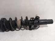 Federbein Rechts Vorne 6895068 BMW Z4 Roadster (G29) Cabrio M40i 3.0 Twin Power Turbo 24V (B58-B30C) 2019-09