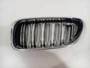 Grill Gitter Links 51137212849 BMW 6 serie Gran Coupe (F06) Limousine 650i V8 32V (N63-B44B) 2015
