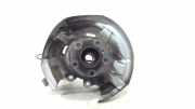 Radnabe Rechts Hinten BMW 5 serie Touring (F11) Kombi 520d 16V (N47-D20C) 2014-02