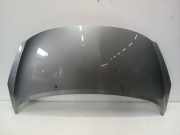 Motorhaube Peugeot 207 CC (WB) Cabrio 1.6 16V (EP6(5FW)) 2009-02