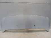 Motorhaube Opel Vivaro Van 2.0 CDTI 122 (D20DTL(DW10FE)) 2020-10