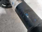 Federbein Links Vorne EQ124001 Suzuki Baleno (EW/FW) Schr?gheck 5-drs 1.2 Dual Jet 16V (K12C) 2017