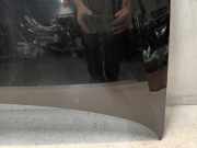 Motorhaube Volkswagen Polo V (6R) Schrägheck 1.2 TSI 16V BlueMotion Technology (CJZC(Euro 6)) 2014 CJZC(Euro 6)