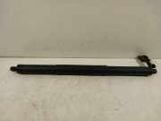 Gasdruckfeder Links Hinten 80A827851A Audi SQ5 (FYB/FYG) SUV 3.0 TFSI V6 24V (CWGD) 2017-08