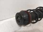 Federbein Rechts Vorne EQ123901 Suzuki Baleno (EW/FW) Schr?gheck 5-drs 1.2 Dual Jet 16V (K12C) 2017