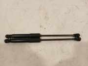 Gasdruckfeder Set Vorne 654705053R Renault Trafic (1FL/2FL/3FL/4FL) Van 1.6 dCi 95 (R9M-413(R9M-H4)) 2018
