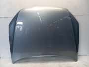 Motorhaube Volkswagen Passat Variant (365) Kombi 2.0 TDI 16V 177 (CFGC) 2013 CFGC