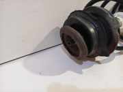 Federbein Rechts Vorne 50710804 Ford Ka II Schrägheck 1.2 (169.A.4000(Euro 4; Euro 5)) 2009