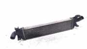 Ladeluftk?hler Radiator Volvo V50 (MW) Kombi 2.0 D 16V (D4204T(Euro 3)) 2004
