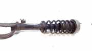 Federbein Links Vorne 22246849 BMW X6 (E71/E72) SUV xDrive30d 3.0 24V (M57N2-D30(306D3)) 2010-03