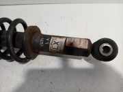 Federbein Links Hinten Mini Mini Open (R52) Cabrio 1.6 16V Cooper (W10-B16A) 2006-04