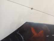 Motorhaube Dacia Sandero I (BS) Schrägheck 1.6 (K7M-710) 2009